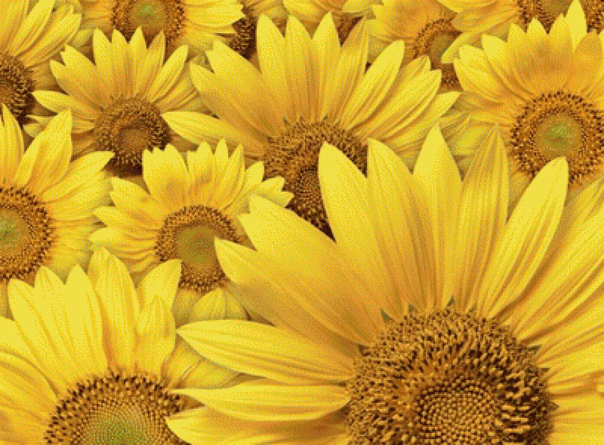 подушка - предпросмотр