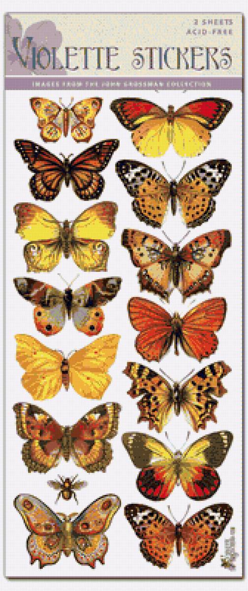 бабочки - предпросмотр