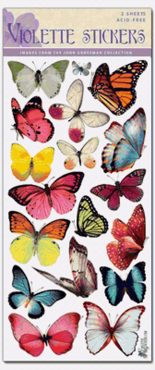 бабочки - предпросмотр