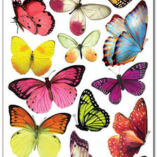 Схема вышивки «бабочки»