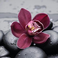 Схема вышивки «подушка»