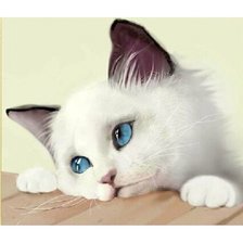 Схема вышивки «подушка»