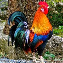 Схема вышивки «Клевый год 7»