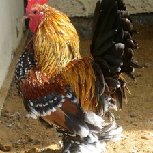 Схема вышивки «Клевый год 8»