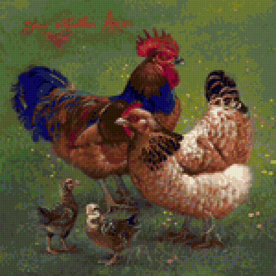 Куриное семейство - предпросмотр