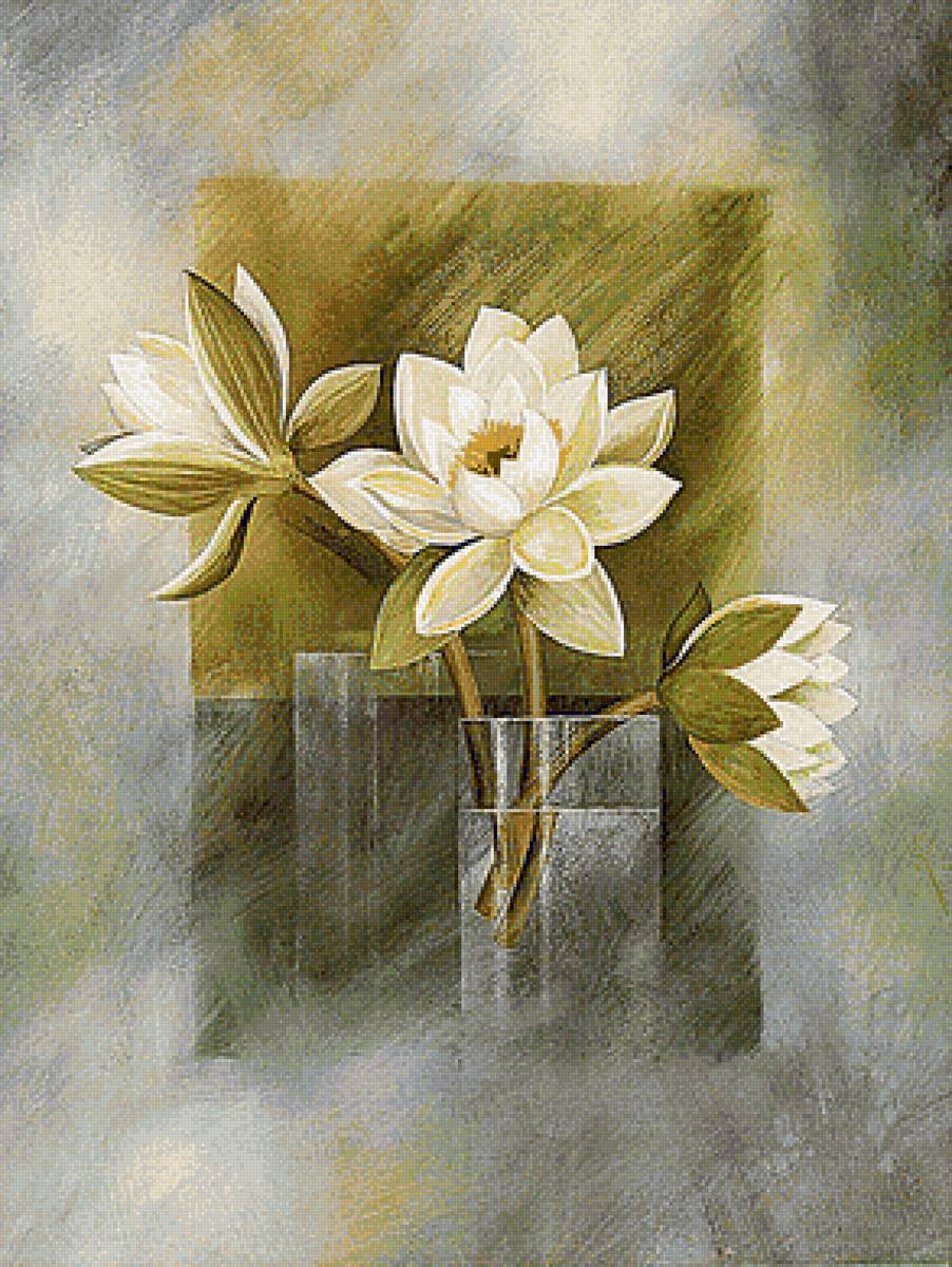 biele kvety - предпросмотр