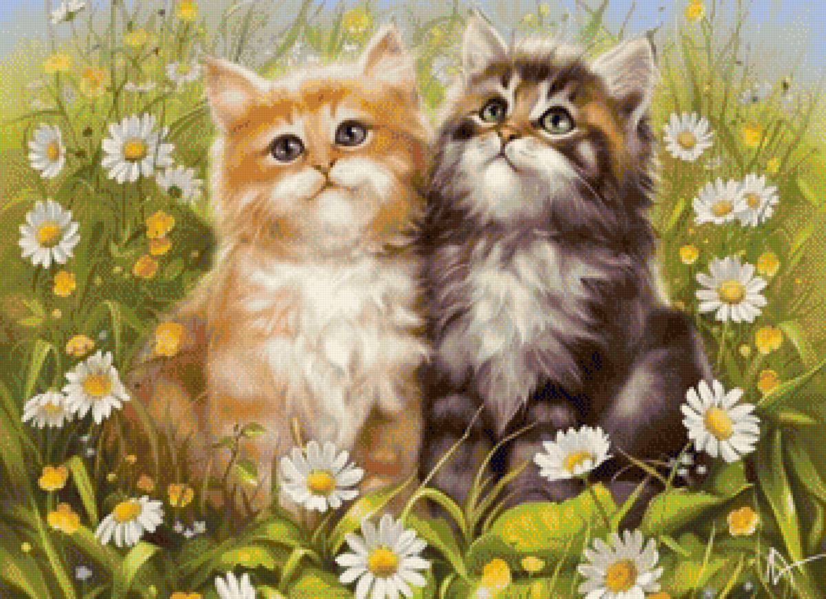 Quynh - mèo - предпросмотр