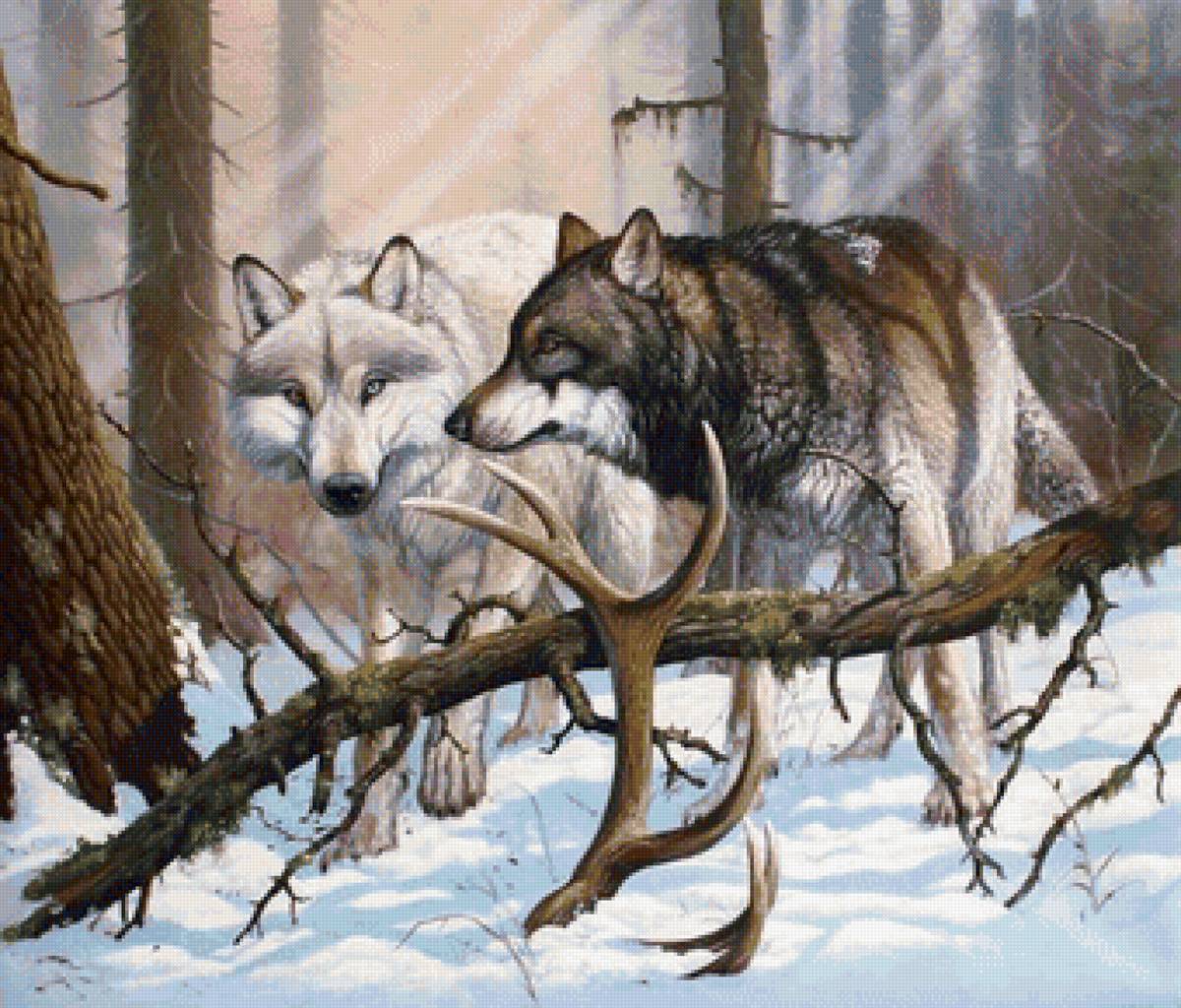 Худ. Роберто Бьянчи - лес, волки, природа, пейзаж, животные - предпросмотр