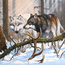 Схема вышивки «Худ. Роберто Бьянчи»