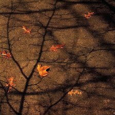 осеннее панно