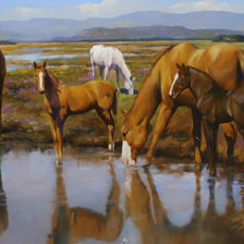 Схема вышивки «№1416337»