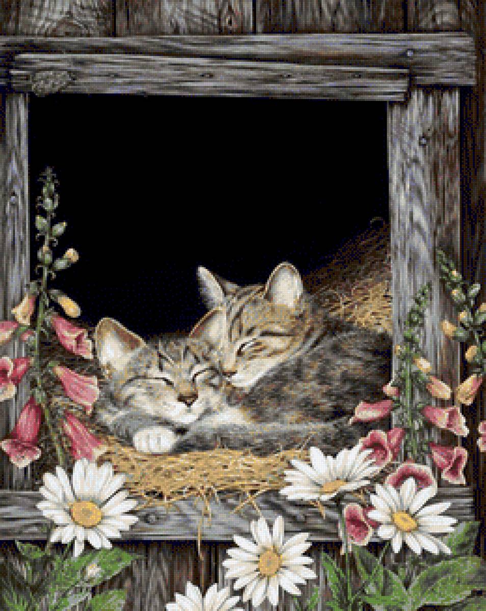 Quynh - mèo - предпросмотр