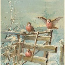 Схема вышивки «№1416565»