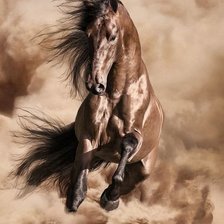 Схема вышивки «HORSE»