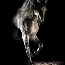 Схема вышивки «№1416576»