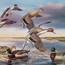 Схема вышивки «№1416632»