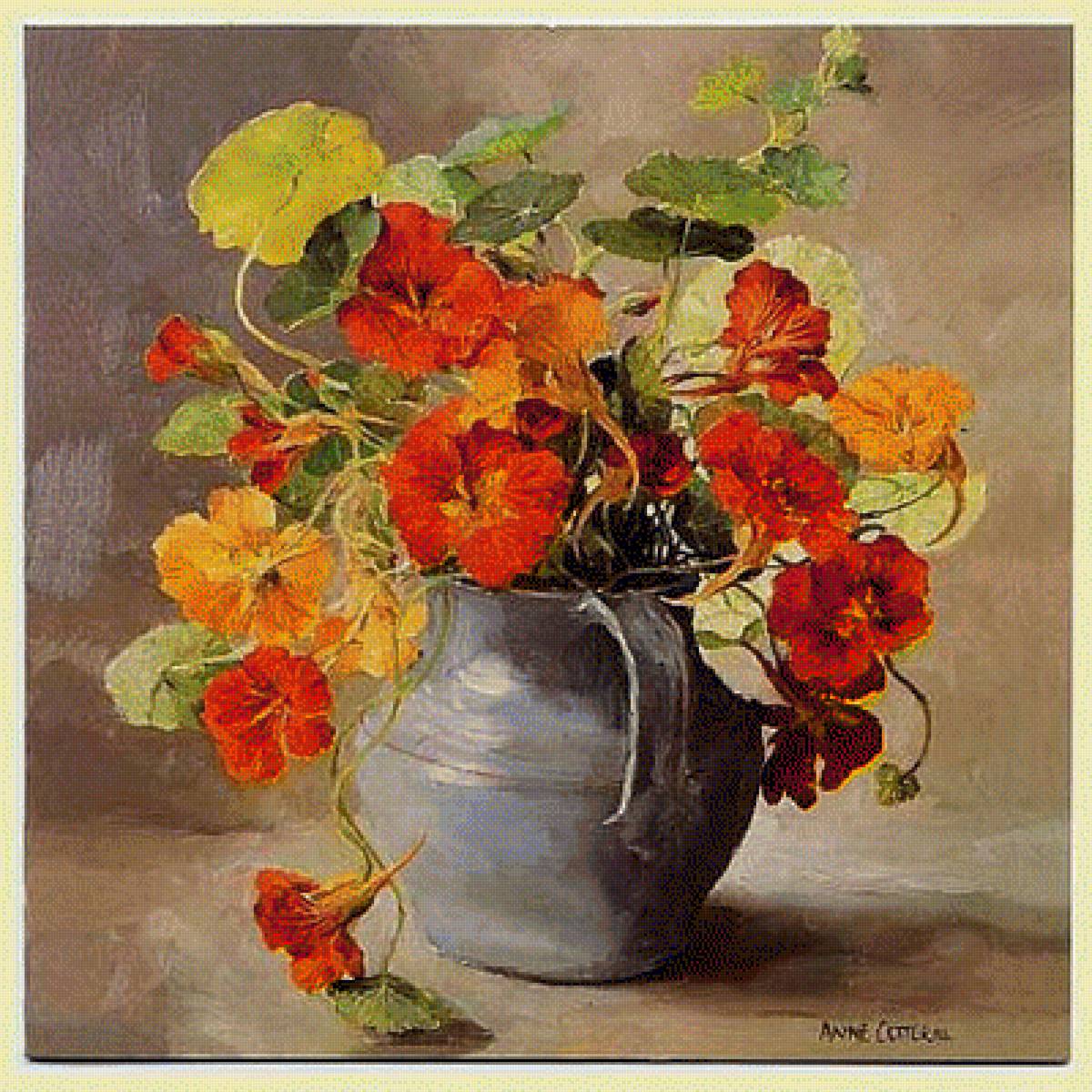 Anna Cotterill - предпросмотр