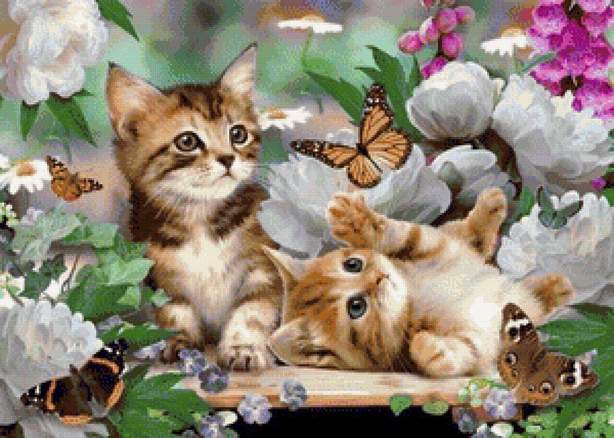 Quynh - mèo - предпросмотр