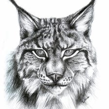 Схема вышивки «Рысь»