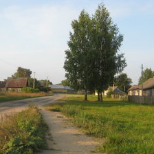 Схема вышивки «березки красавицы»