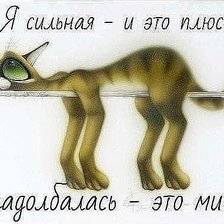 Схема вышивки «Кот устал»