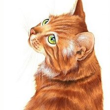 Схема вышивки «кошечка»