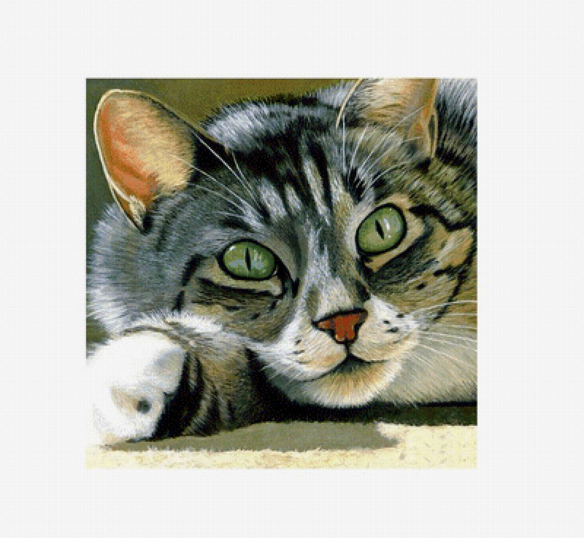 кошечка - предпросмотр