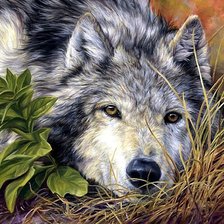 Схема вышивки «одинокий волк»