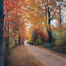 Схема вышивки «№1418251»