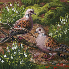 Схема вышивки «№1418271»