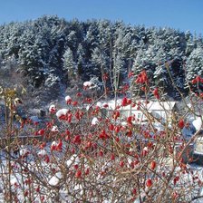 Схема вышивки «Зимний пейзаж»