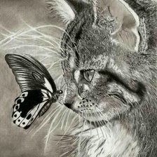 Схема вышивки «бабочка, кот»