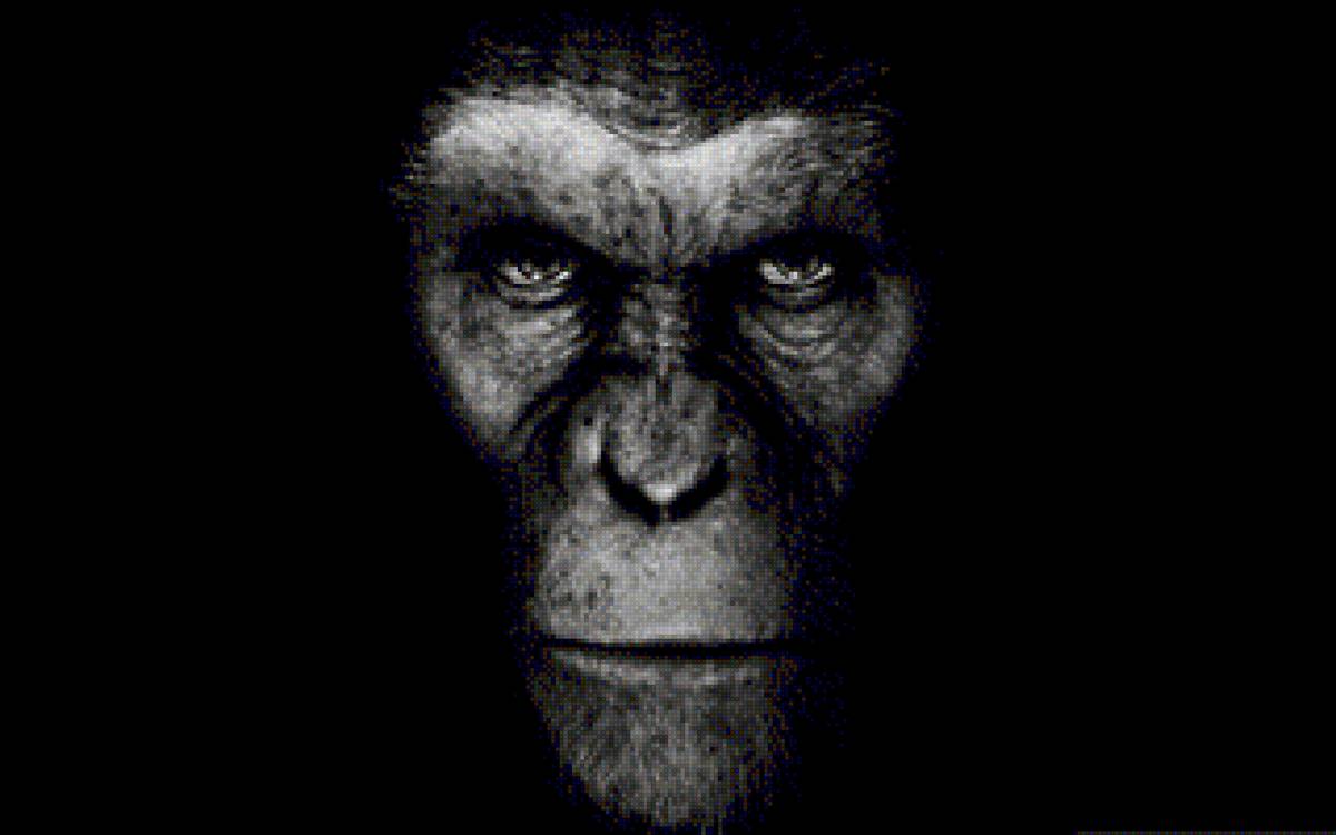 №1418650 - предпросмотр