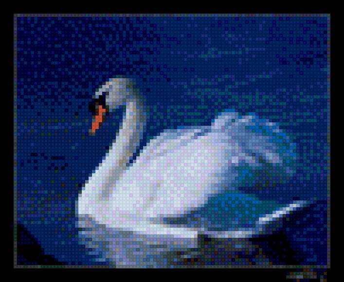 лебед - лебеди, животни - предпросмотр