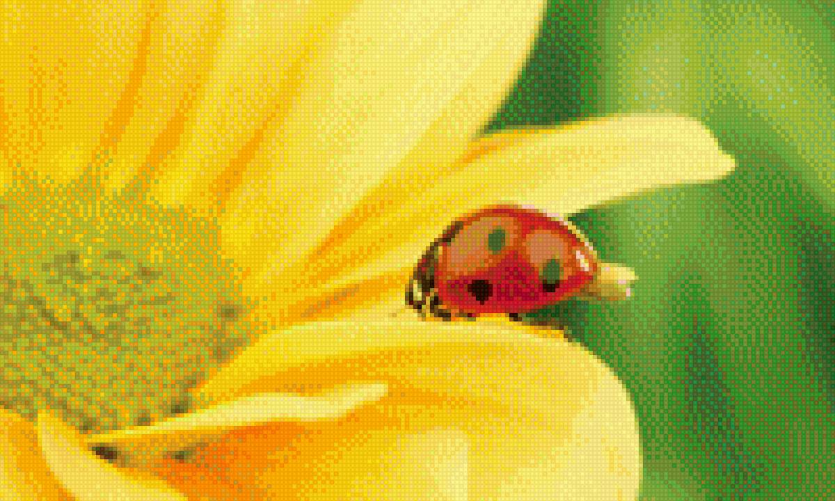 подсолнух 1 - божья коровка, подсолнух - предпросмотр