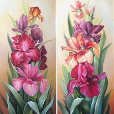 Схема вышивки «диптих "цветы"»