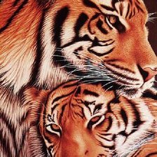 Схема вышивки «№1419348»