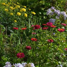 Схема вышивки «Мамин сад 2»