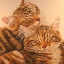 Схема вышивки «кошки»