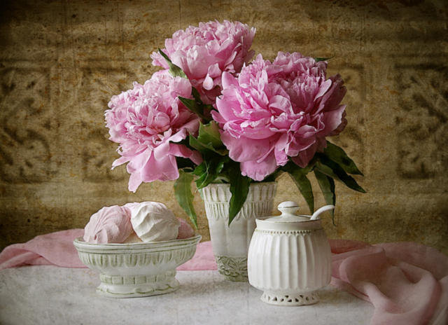 пионы мечты - пион, красота, кухня, сладости, пионы - оригинал