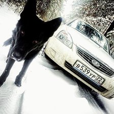 Схема вышивки «Черный немец»