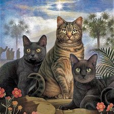 Худ. Даниэль Крайг