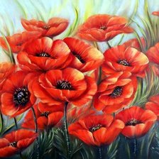 Схема вышивки «МАКИ»