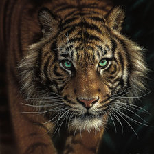 Схема вышивки «животные»