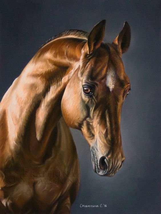 №1420284 - оригинал