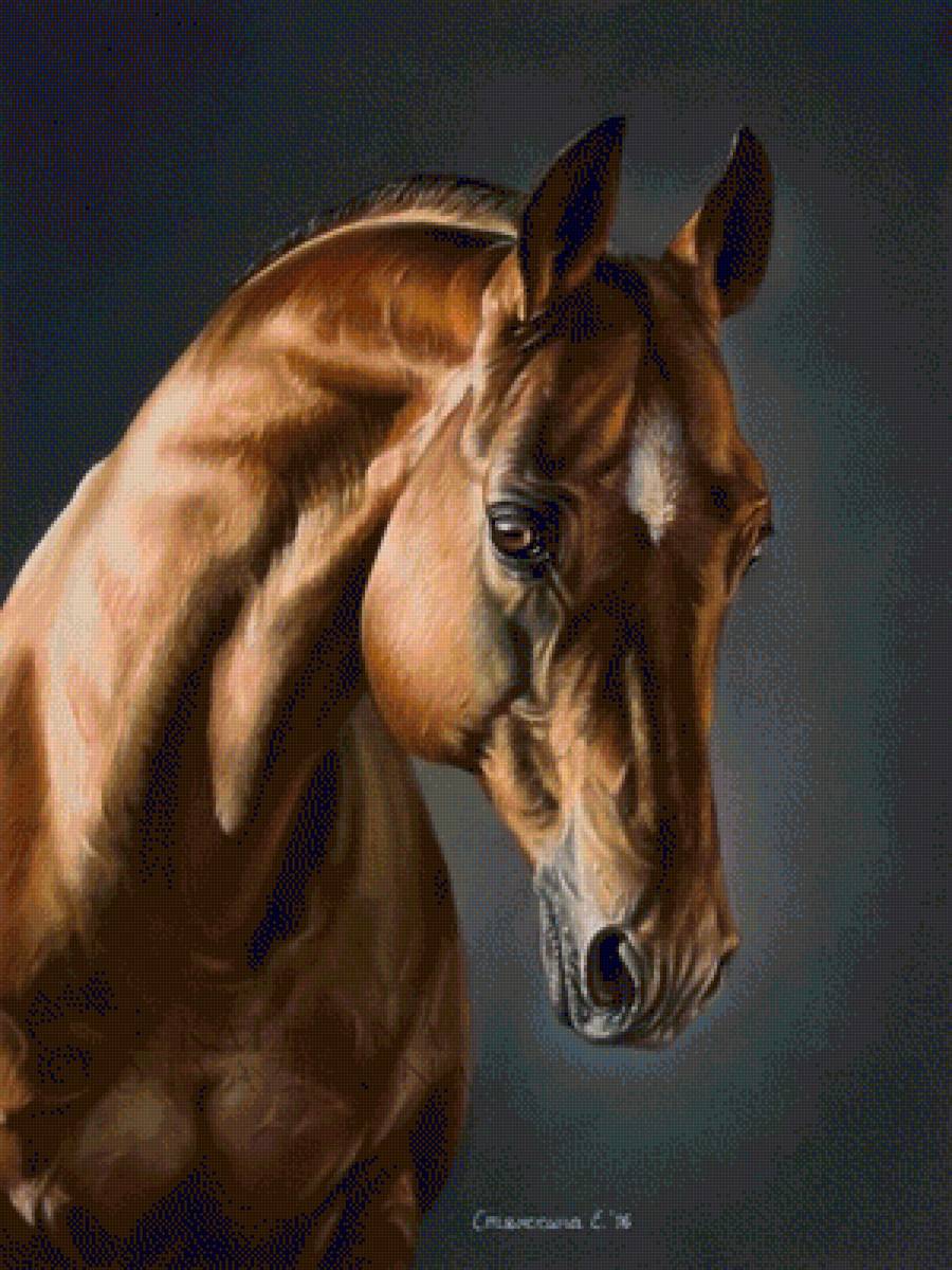 №1420284 - предпросмотр