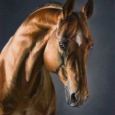 Схема вышивки «№1420284»