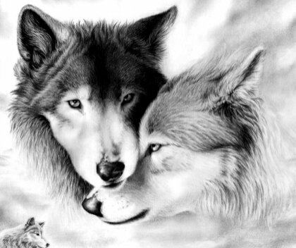 Пара волков - волки, верность - оригинал