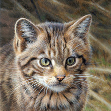 Схема вышивки «котик»