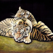 Схема вышивки «№1420516»